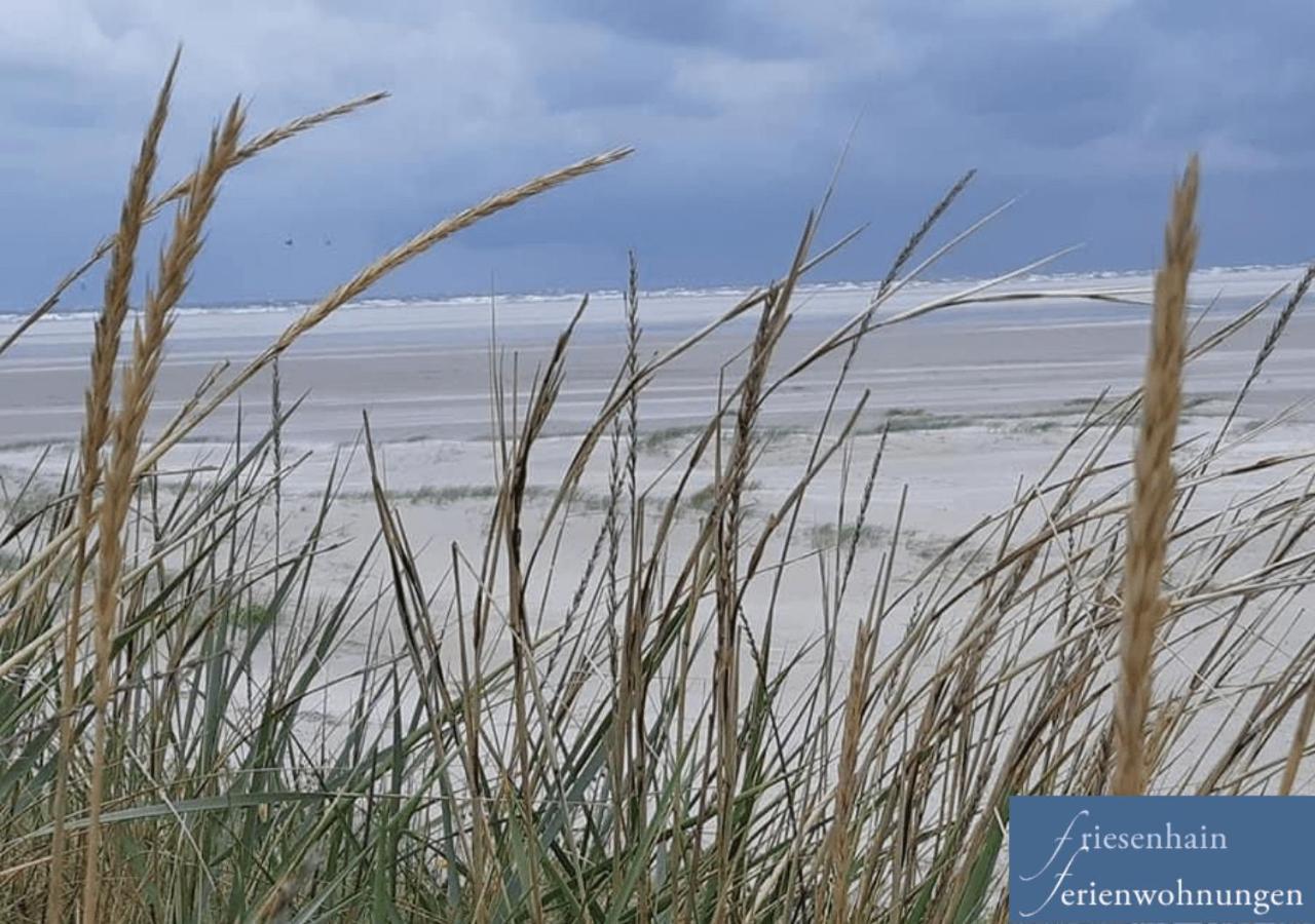 Friesenhain Ferienwohnungen Sankt Peter-Ording Zewnętrze zdjęcie
