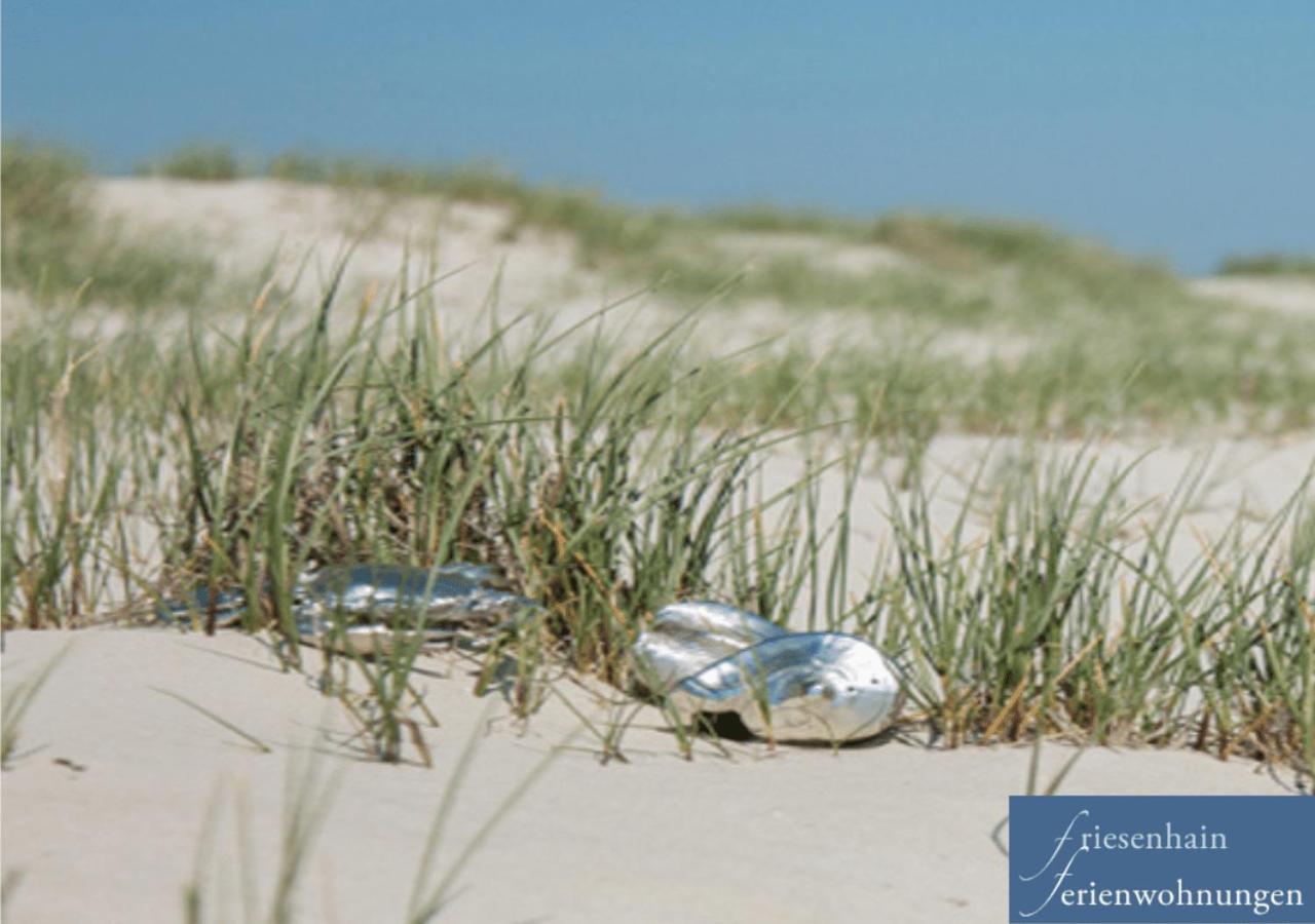 Friesenhain Ferienwohnungen Sankt Peter-Ording Zewnętrze zdjęcie